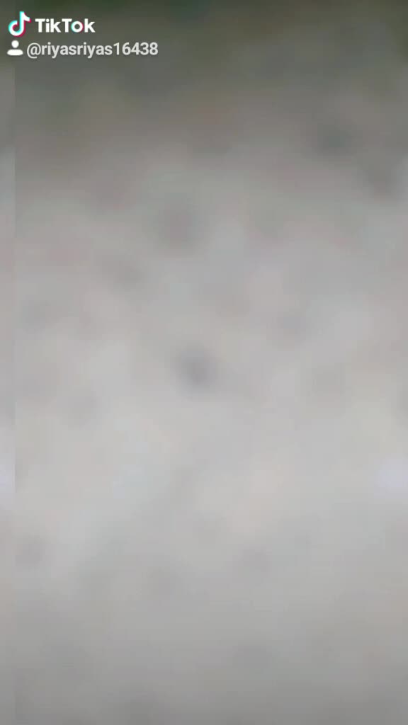@riyasriyas16438
