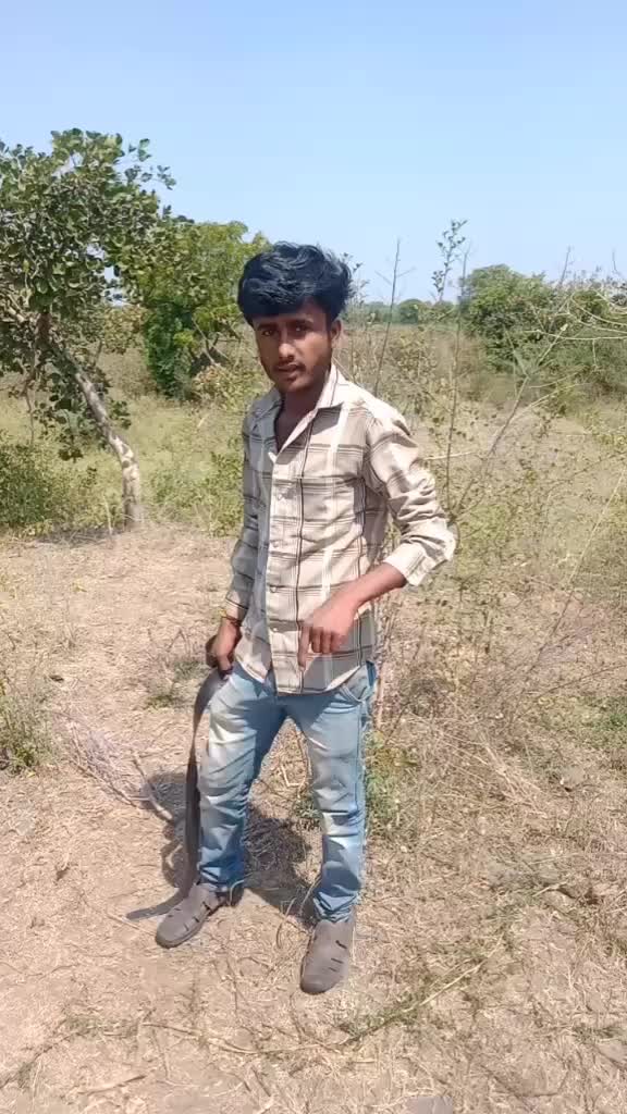 @rameshwar hilal