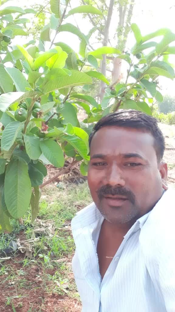 @Mustafa Khadri