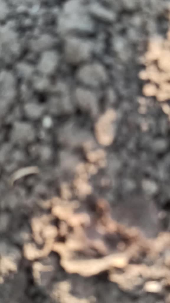 @दिपक सावंत पाटील..