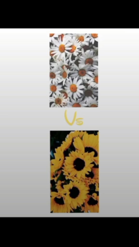 @~___VS___~