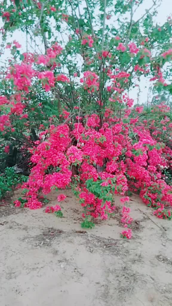 @Phani Gundimeda