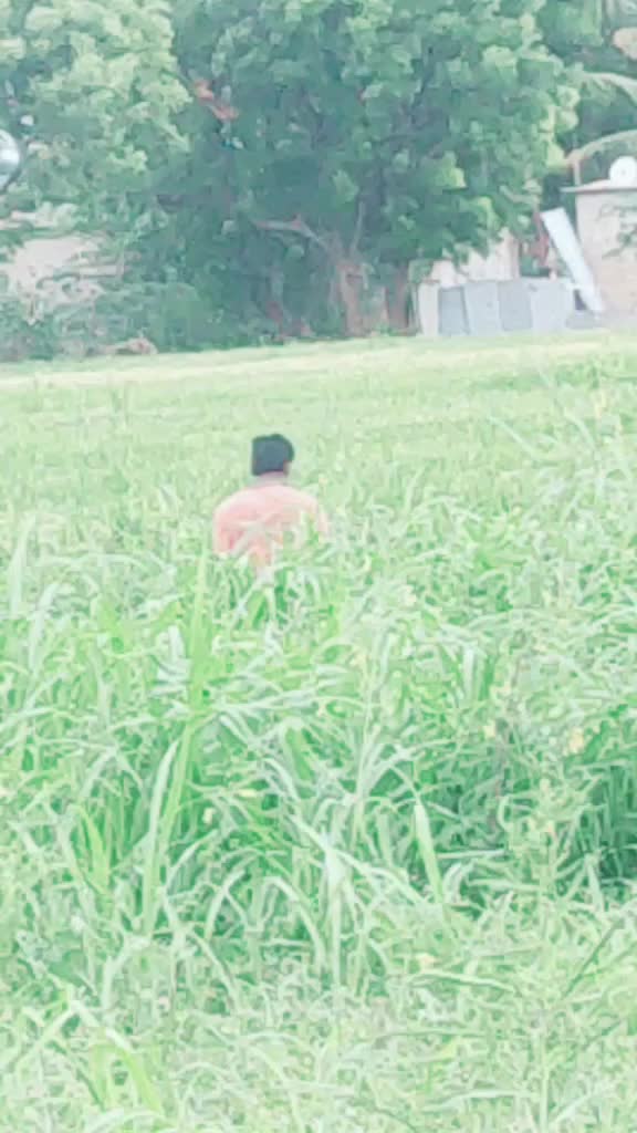 @Kalluru Subbareddy