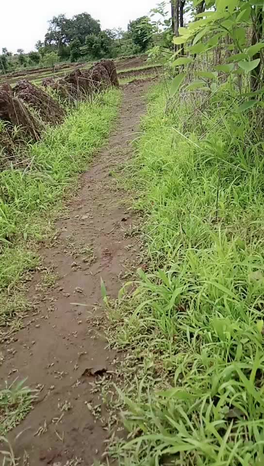 @konkanchi Pari🧚♂