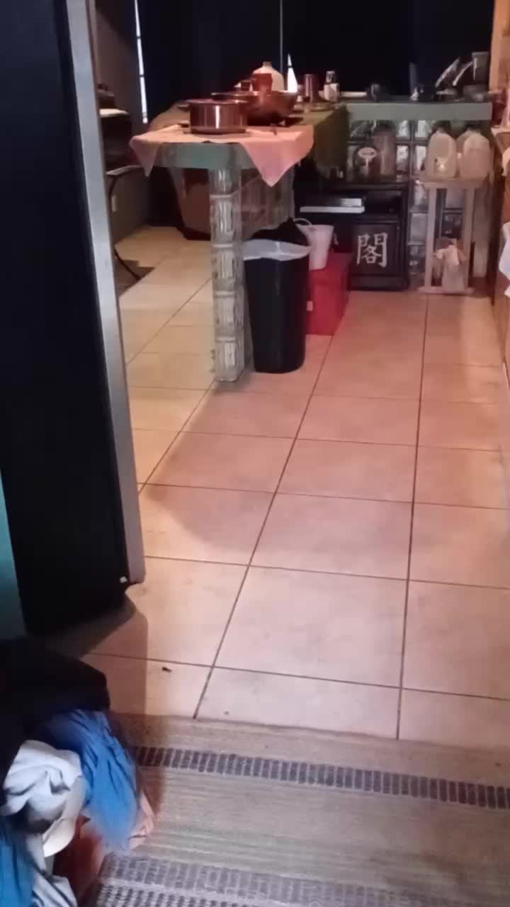 @catmommy