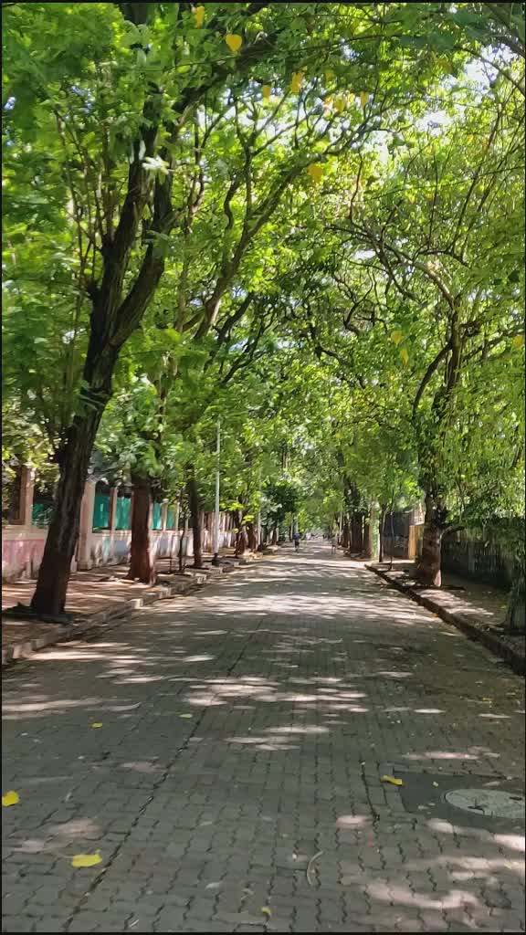 @Rjshankar