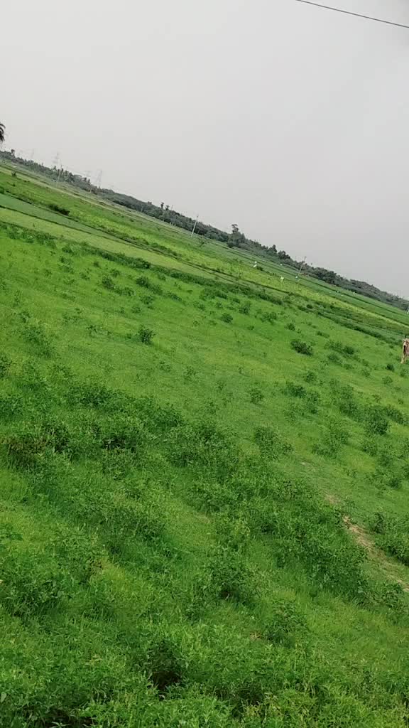 @sri nivi
