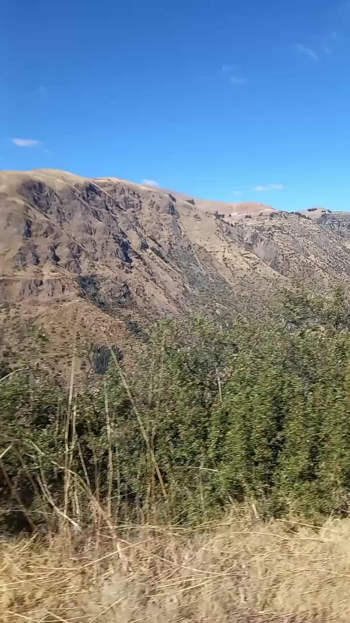 @Vicayquipa