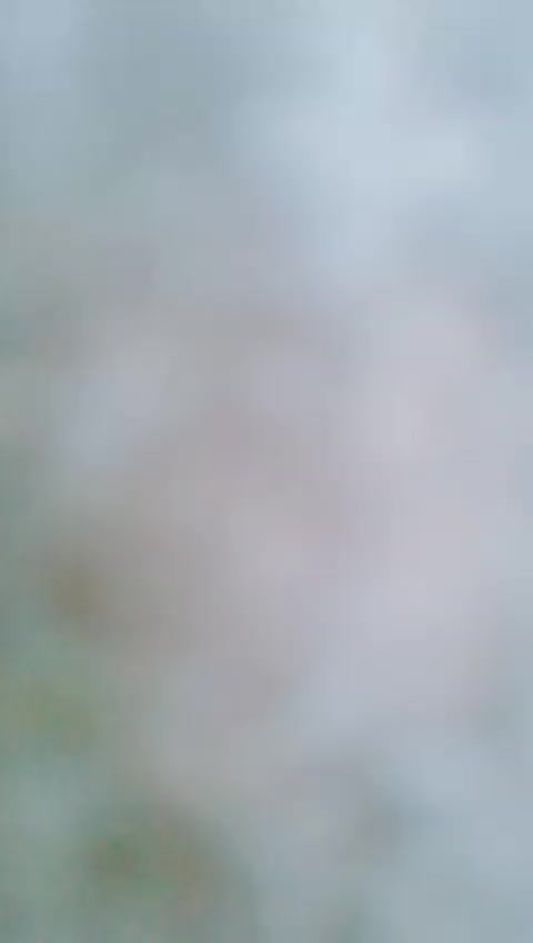 @Anjal sultana
