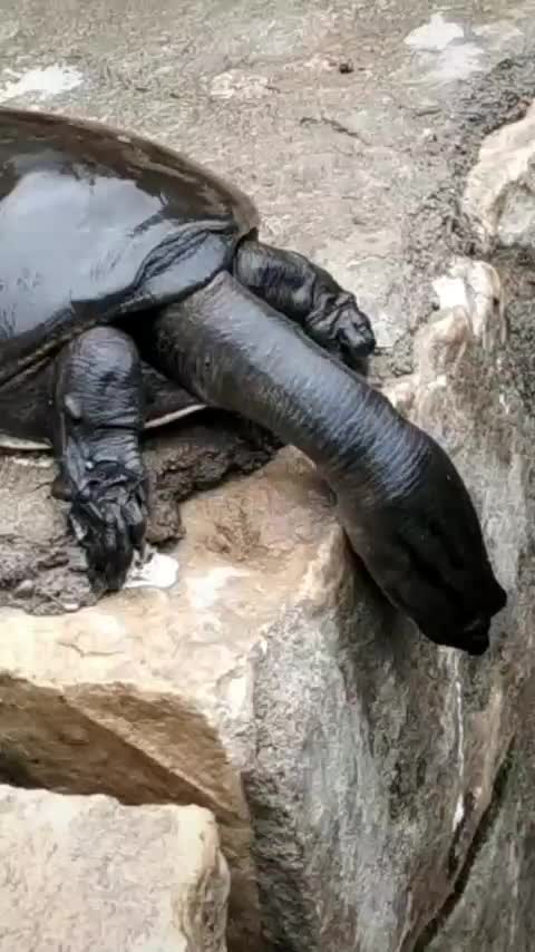 @paridwal 009