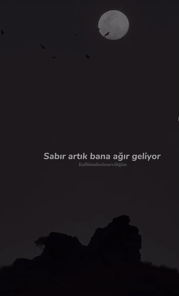 @❄️꧁༺H&uuml;z&uuml;n༻꧂❄️