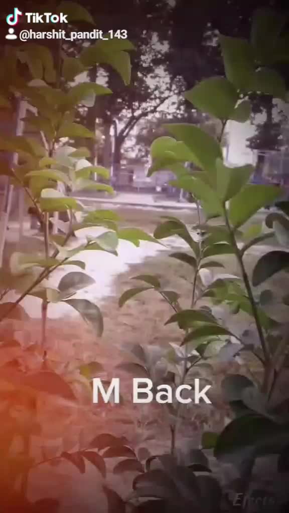 @Mʀ.Pʌŋɗɩt
