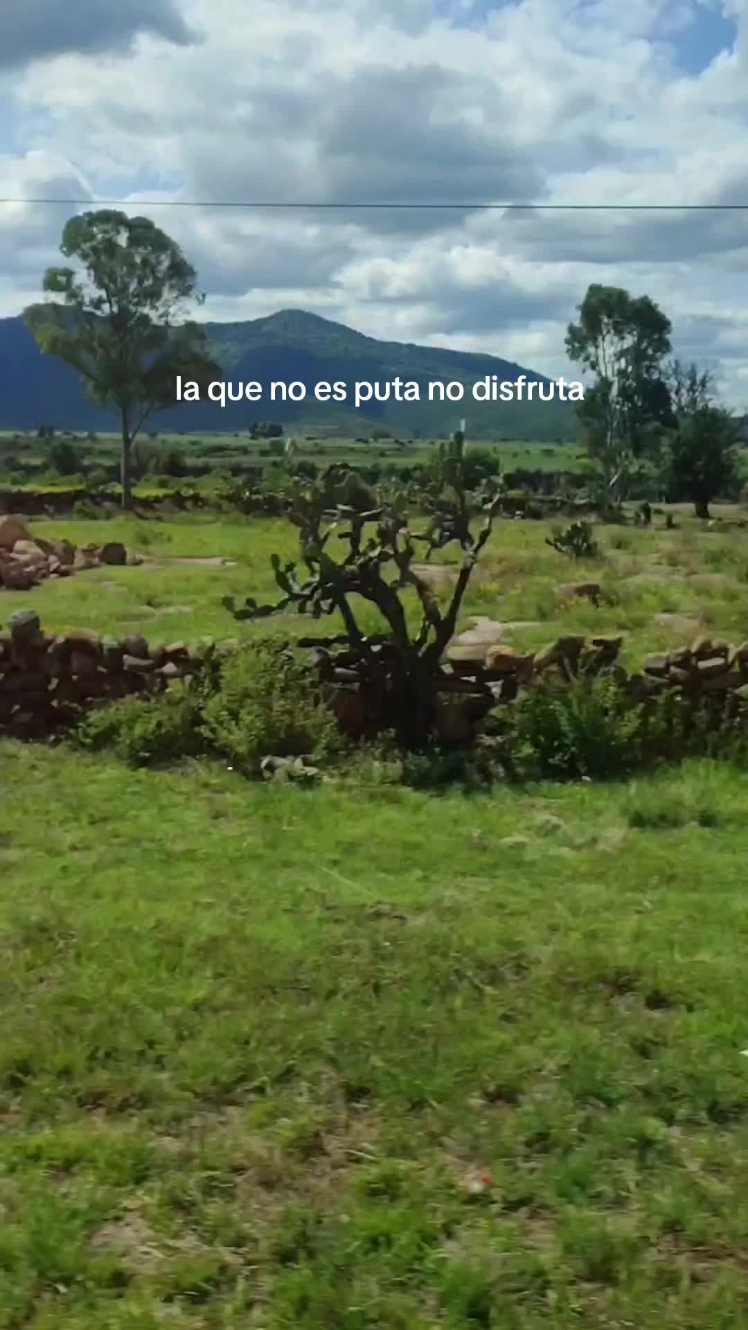 @Carlos Mondragon