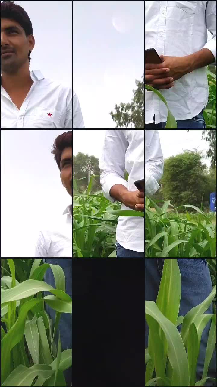 @Ikbal Sankhla