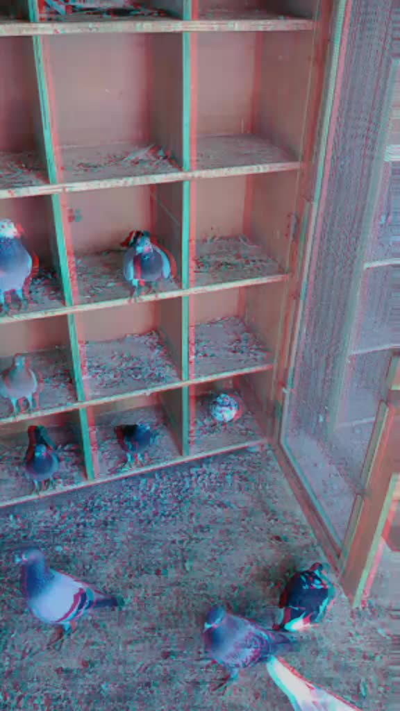 @@Đ75