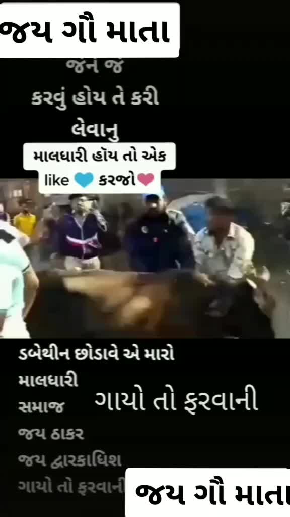 @ગાય નું ગોવાડ