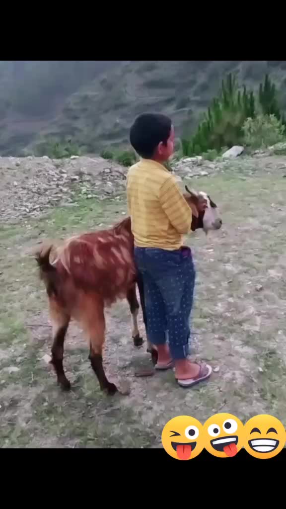 @❤️Pahadi Noni..❤️