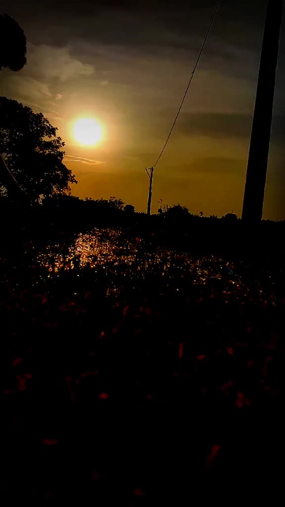 @Dhana Sekhar