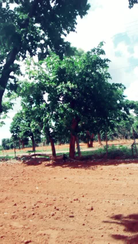 @ಸಂಧ್ಯಾ ಎಸ್ ನಾಯಕ್