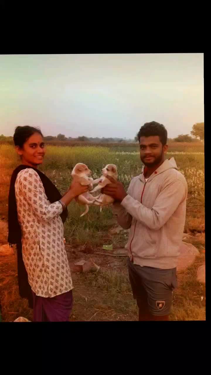 @Sai Sharath Achari