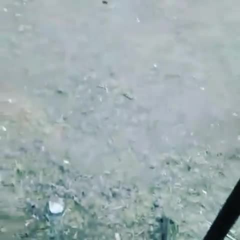 @efemmm