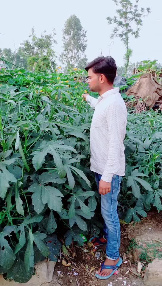 @vijendra kumar