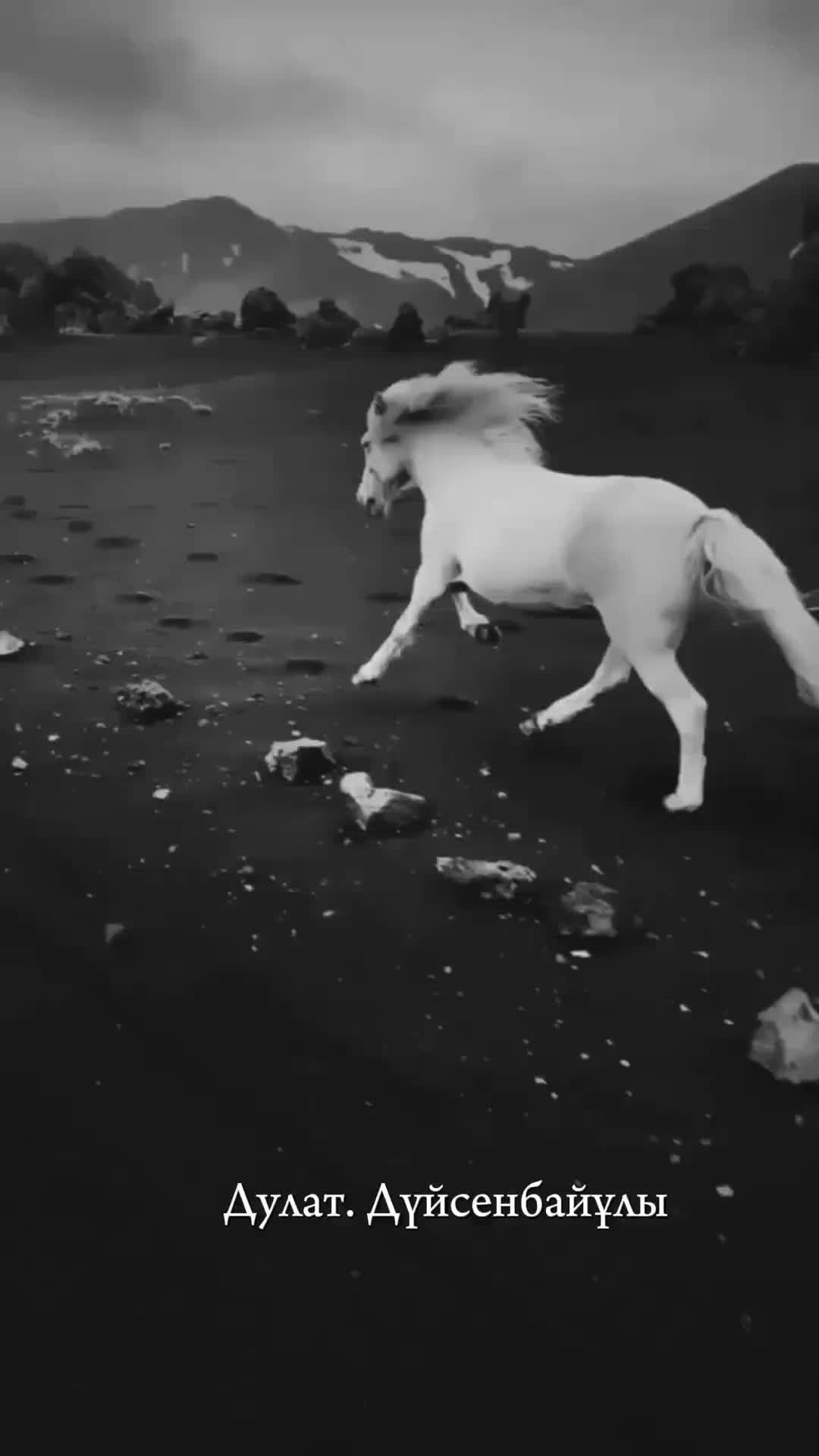 @☾༄☽𝑨i𝒂 jan☾༄☽