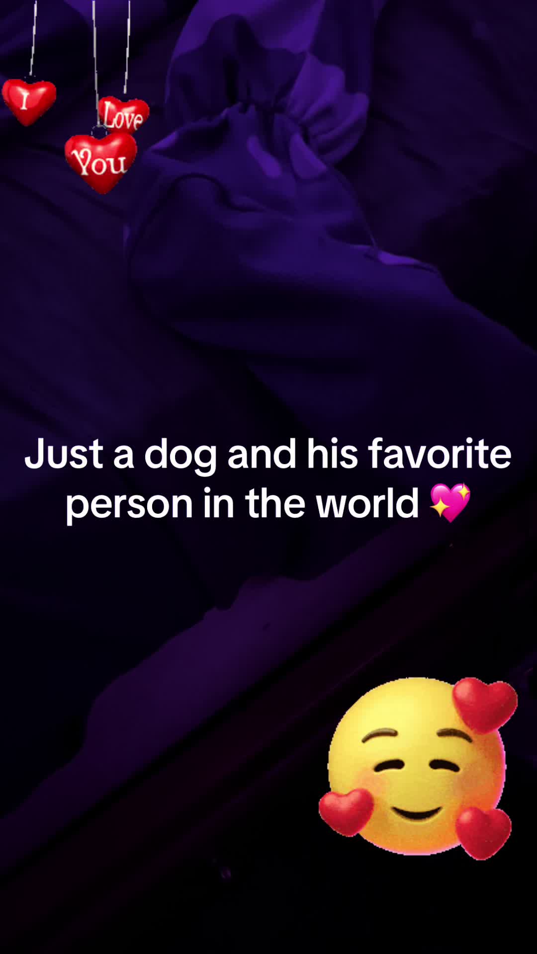 @Shaebaby003