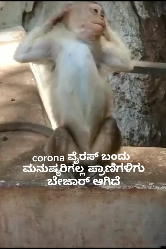 @Krishna Nandi