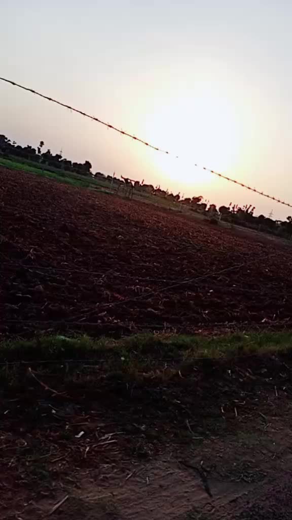 @મહાકાળી નો લાડકવાયો