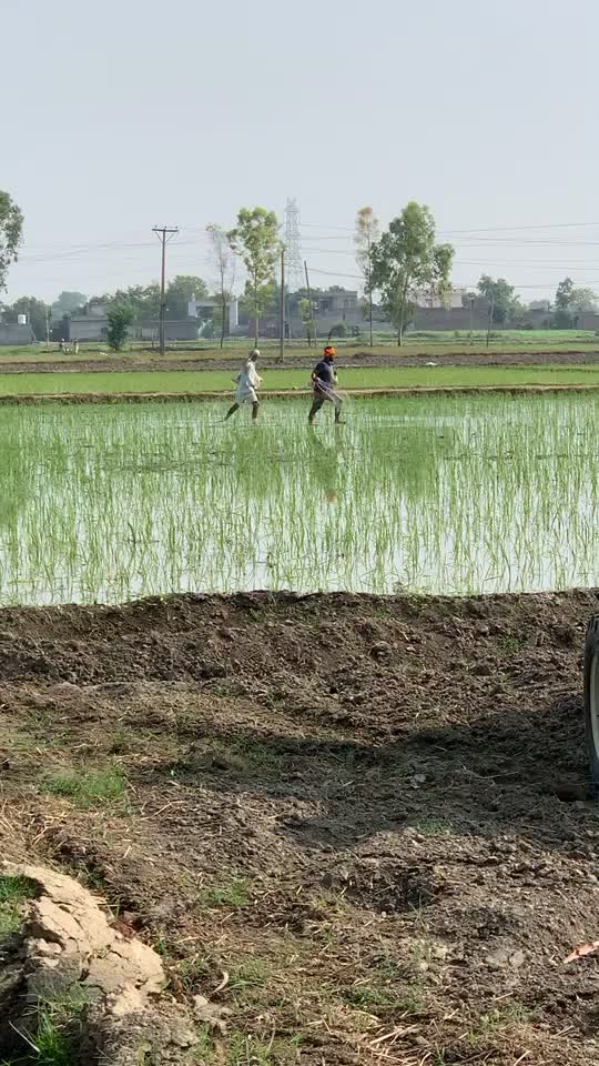 @jagjeet singh2626