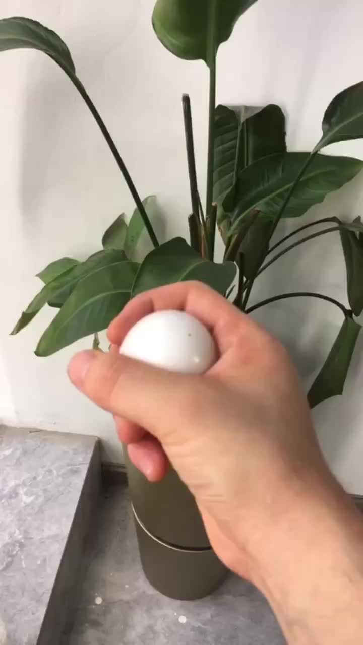 @fidget5595