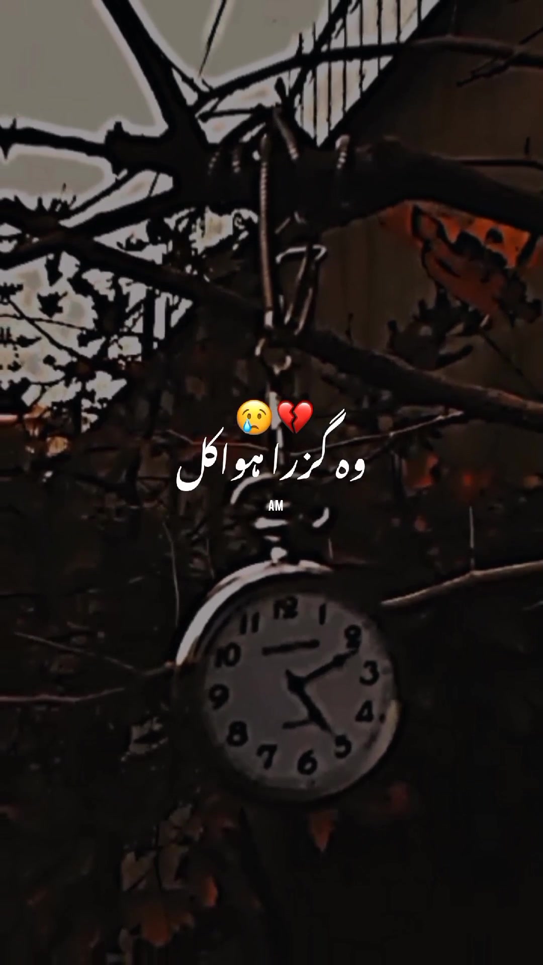 @⚡AM⚡