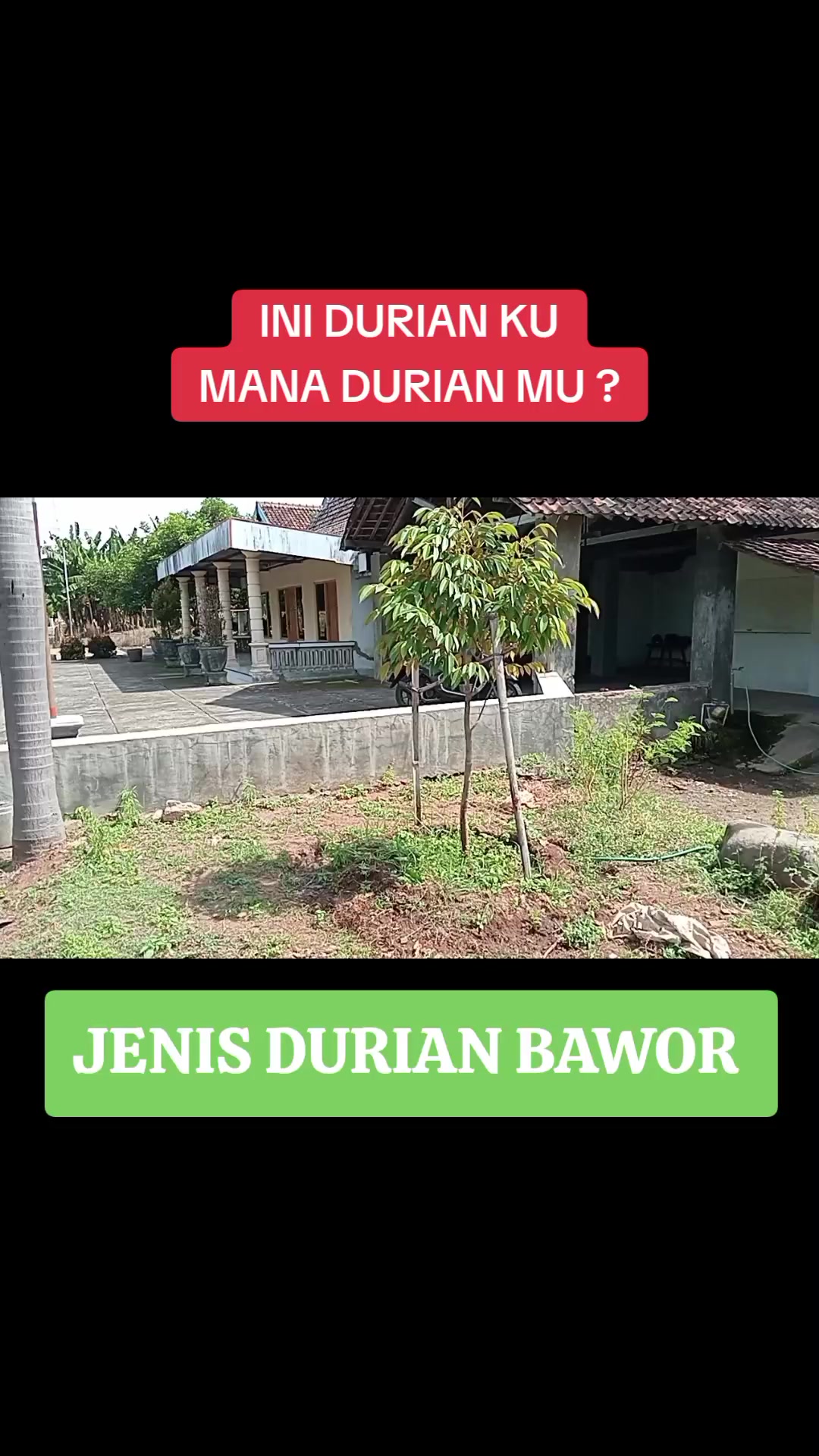 @PEJUANG keluarga ❤️