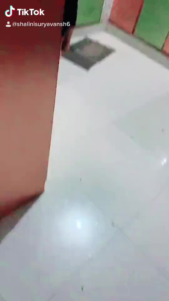 @Shalini Suryavanshi