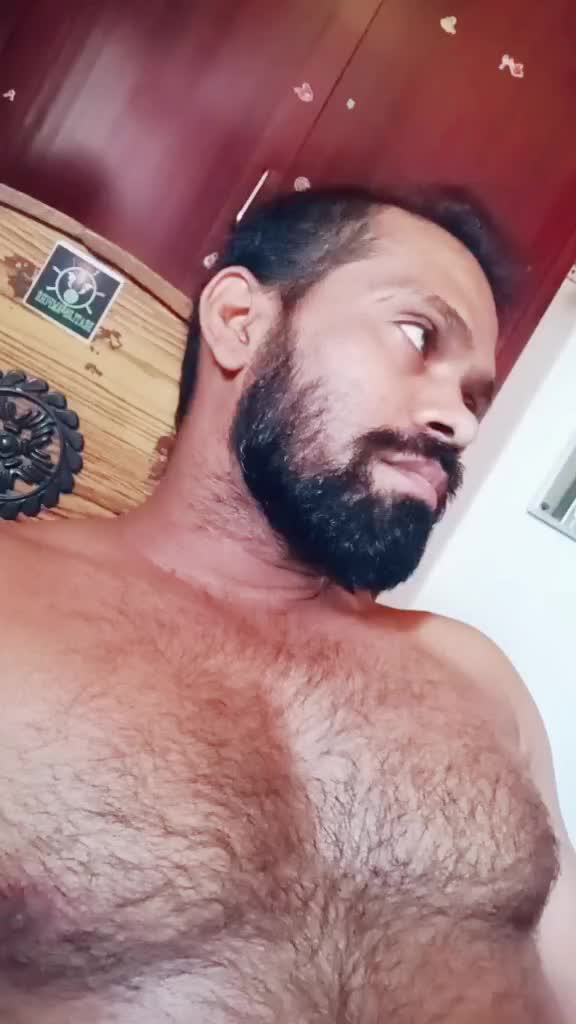 @user084438