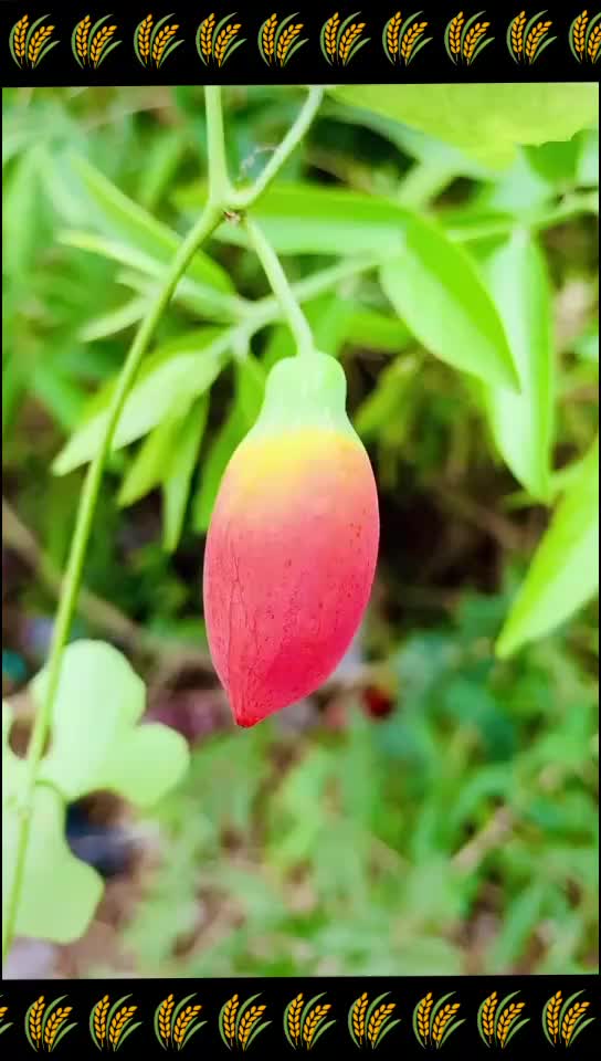 @Sweetyma23