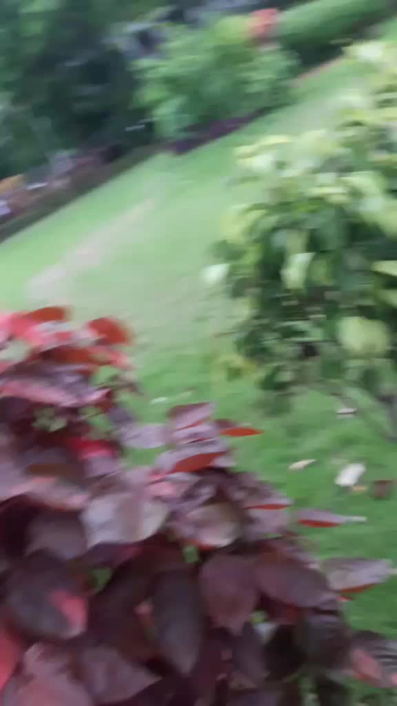 @naaz910201