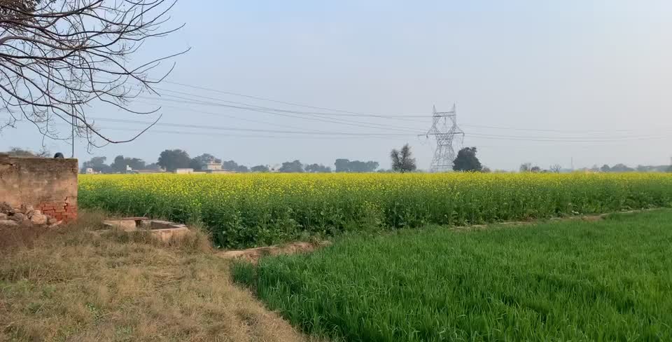@Ravi Chauhan