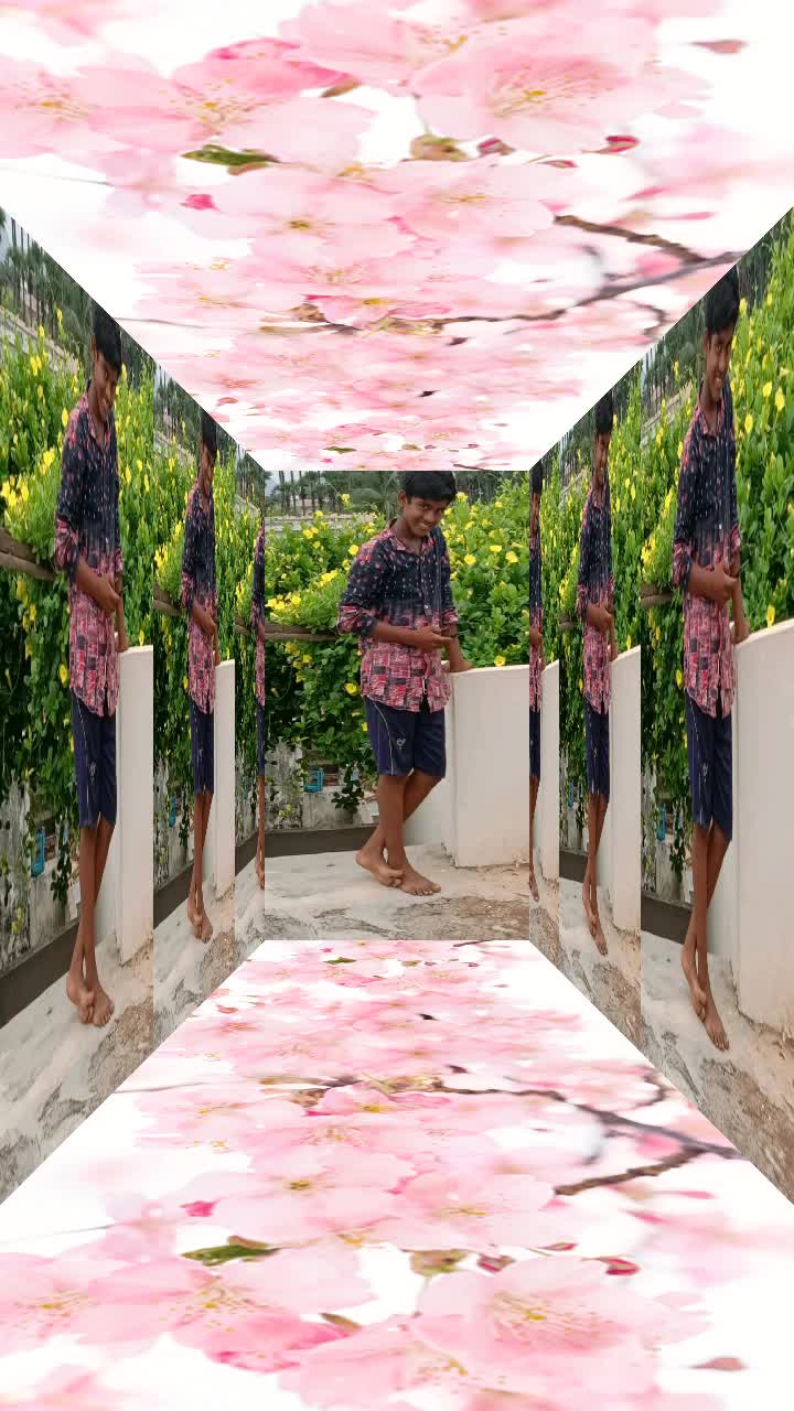 @user3449889852660