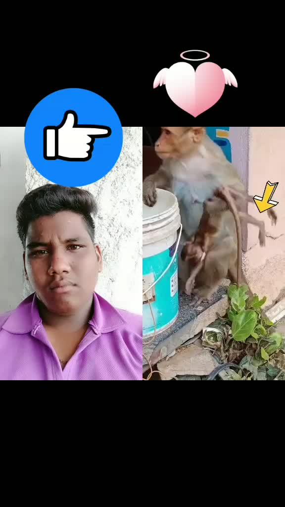 @katriki devendra