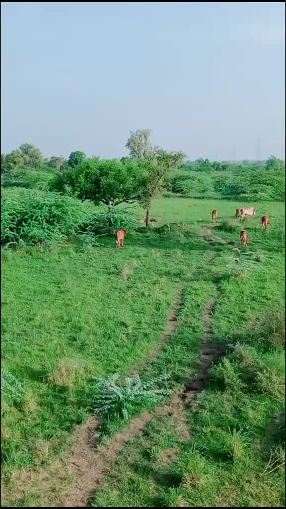 @Haresh 🌟Bharwad🌟