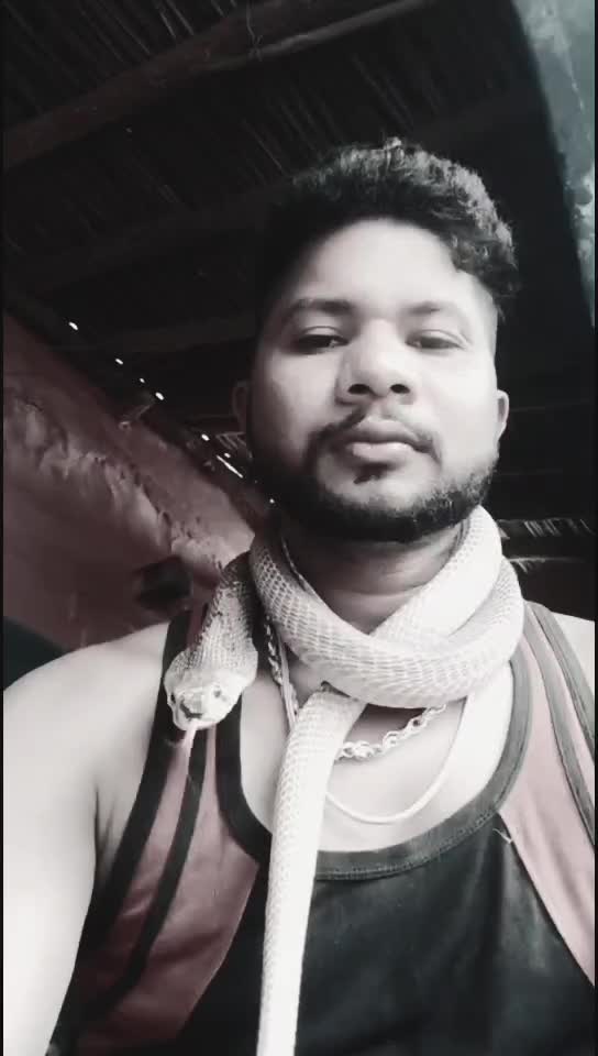 @nilubhai7999