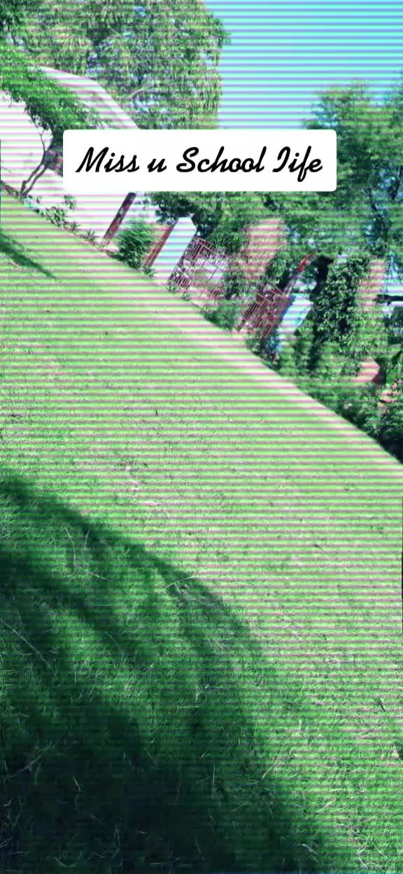@︻┳═一۷ıƈƙყཞąʝ&weierp;ųɬ︻╦╤─