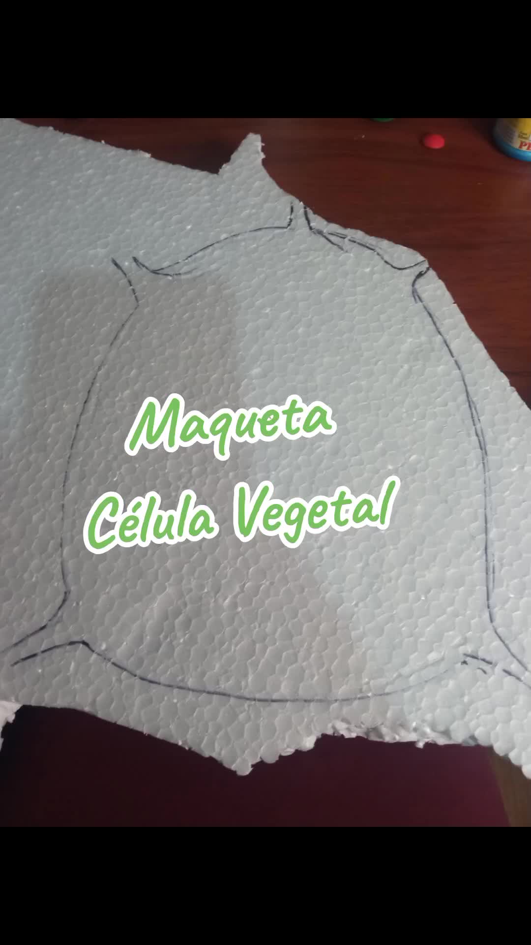 @Talento Creativo