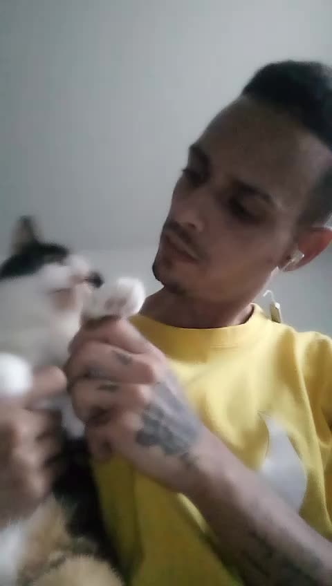 @showmotion