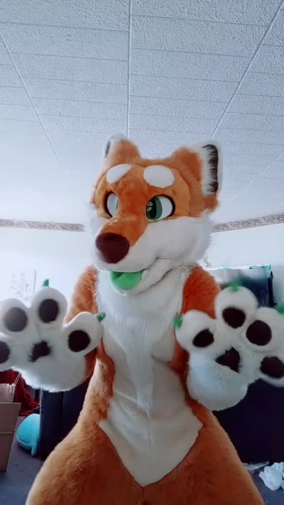 @CookieShiba