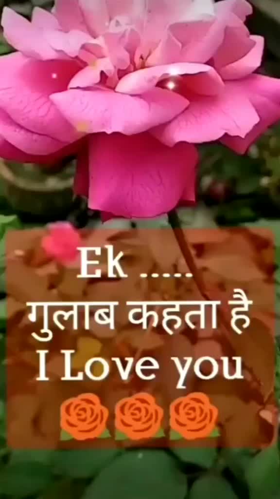 @M.S.K