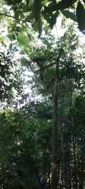 @220_PILOT