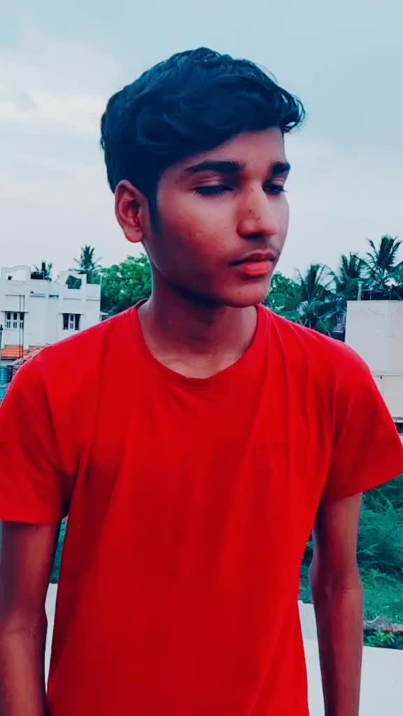 @alpha.wolve_